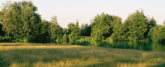 Richtlijnen voor Practice, Puttinggreen & Golfprofessionals