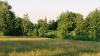Richtlijnen voor Practice, Puttinggreen & Golfprofessionals