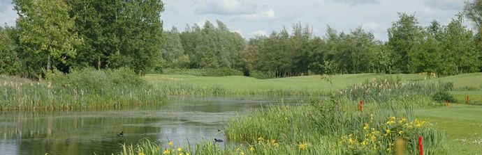 Pro Tip – hoe herstel je een pitchmark?