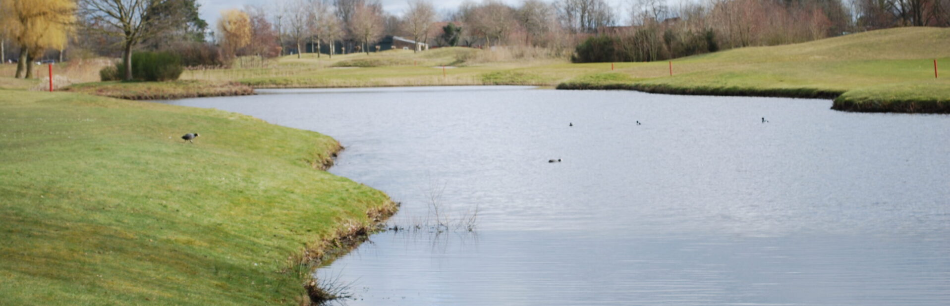 RABBITS ONTMOETING MET ZWIJNAARDE