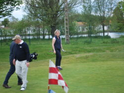 RABBITS BIJ WESTGOLF