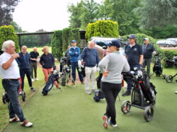 RABBITS ONTMOETING IN GOLF ZWIJNAARDE