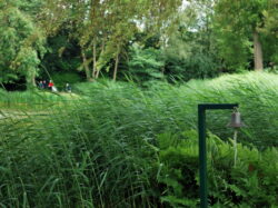 RABBITS ONTMOETING IN GOLF ZWIJNAARDE