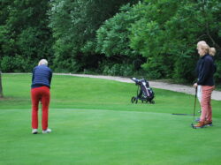 RABBITS ONTMOETING IN GOLF ZWIJNAARDE