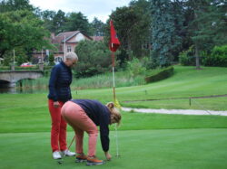 RABBITS ONTMOETING IN GOLF ZWIJNAARDE