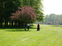 20250426 Interclub Damme Golf & Country Club