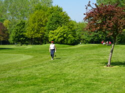 20250426 Interclub Damme Golf & Country Club