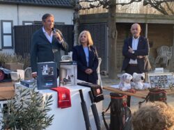 Bermadecor 20/03/2025