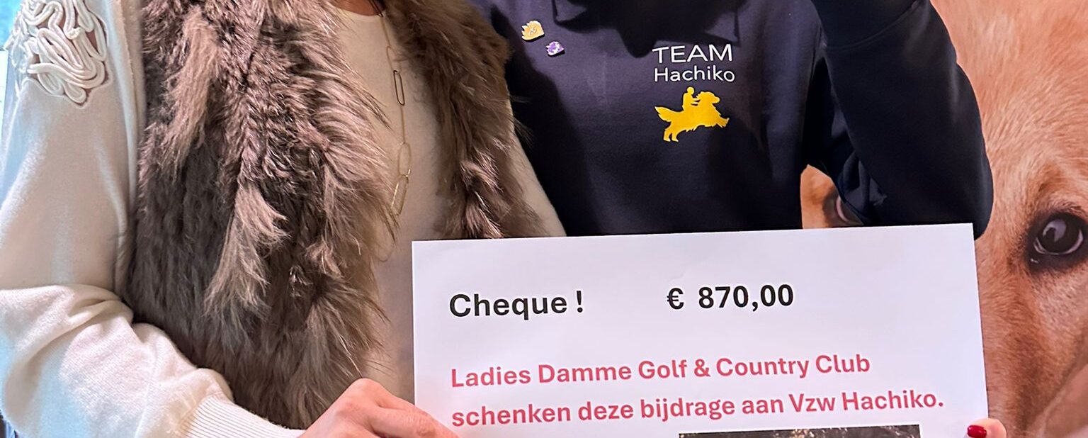 Christmas competition en Hachiko !