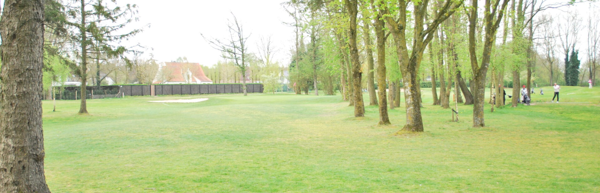 TEXAS SCRAMBLE RABBITS