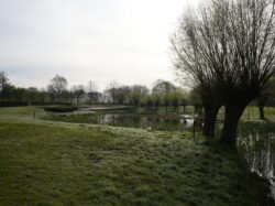 20260406 – Bring a Non-Golfing Friend to Damme Golf & Country Club