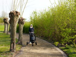 20260406 – Bring a Non-Golfing Friend to Damme Golf & Country Club