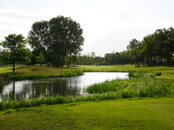 20260514 – Club Championship 2026