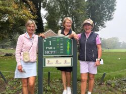28-29/09/2026 Tweedaags Ladiesreisje naar Arras !