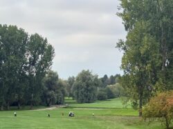 28-29/09/2026 Tweedaags Ladiesreisje naar Arras !