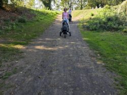 28-29/09/2026 Tweedaags Ladiesreisje naar Arras !