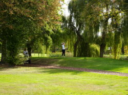 20261003 – Juniors Ronde van Vlaanderen Golf Happy Waregem
